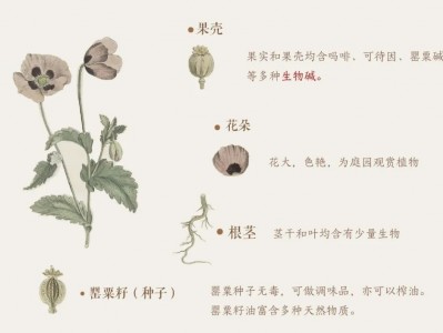 更本御米油，源自御膳房，重回百姓家