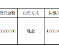 自在传媒对外投资100万元设立西安自在子公司