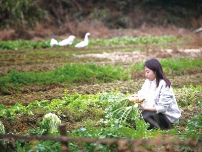 媒体人“变形”新农人，以互联网思维唱响田园牧歌